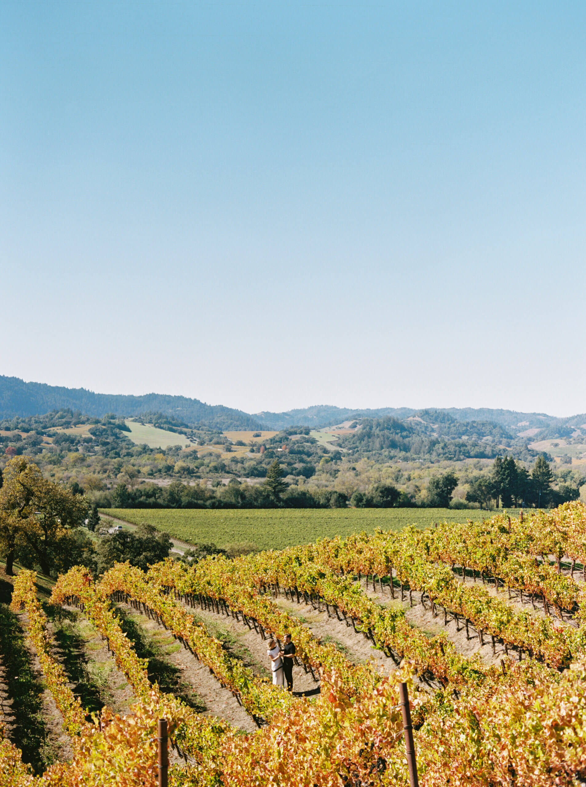 Light, natural rehearsal dinner makeup by Elwynn + Cass in Sonoma