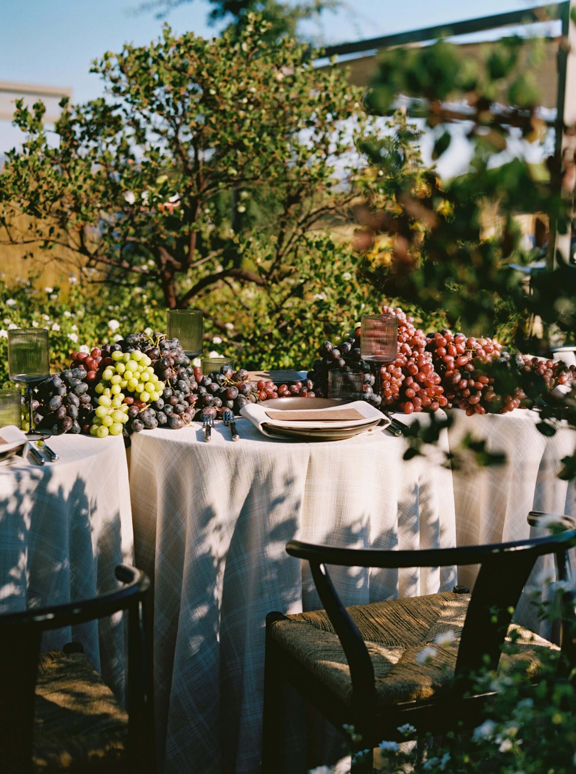 Wine country rehearsal dinner styled tablescape in Sonoma